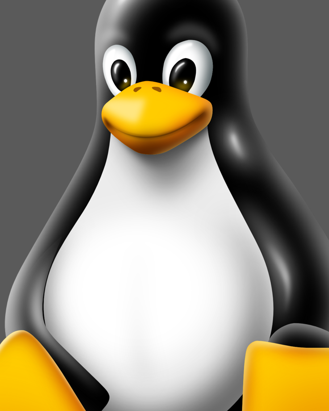 Vulnerabilidad crítica en el kernel de Linux